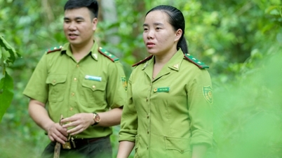 Las guardabosques hmong protegen en silencio los bosques fronterizos de Muong Lat.