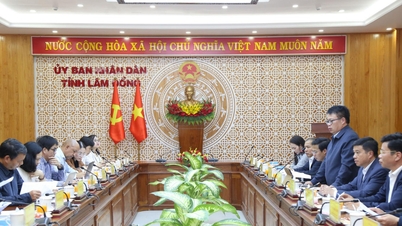 Os líderes de Lam Dong trabalham com o Centro Financeiro Internacional em Da Nang.
