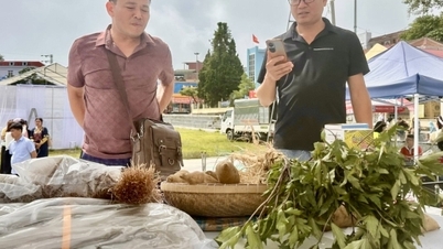 ឡៃចូវ នាំយកផលិតផលកសិកម្មនៅតំបន់ខ្ពង់រាបមកកាន់វេទិកាពាណិជ្ជកម្មឌីជីថល។