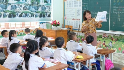 Teachers are entitled to a professional allowance ranging from 20-80%.