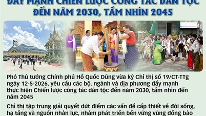 [انفوگرافکس] نسلی امور کے لیے حکمت عملی کو مضبوط بنانا 2030 تک کام کرتا ہے، 2045 تک کے وژن کے ساتھ