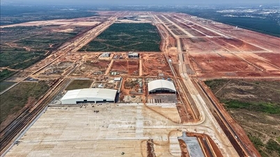 Dong Nai menangguhkan lelongan tanah kerana maklum balas 'umum'.