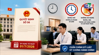 Chấn chỉnh kỷ luật, kỷ cương hành chính