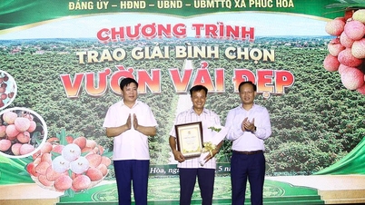 Xã Phúc Hòa tổ chức gala “Đón mùa vải sớm năm 2026”