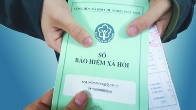 7월 1일부터 새로운 최저임금에 맞춰 여러 사회보험 혜택이 인상될 예정입니다.