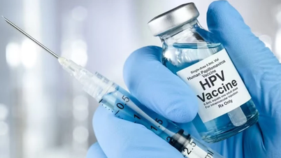 Vakcína proti HPV byla poprvé zařazena do povinných imunizačních programů.
