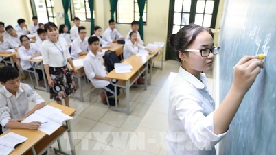 Los profesores de literatura ofrecen a los alumnos consejos importantes antes del examen de ingreso al décimo grado en Hanoi.