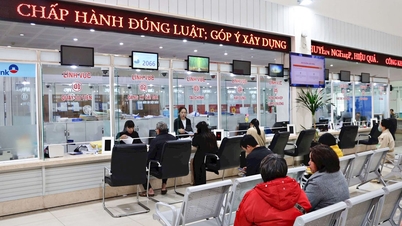 Provincie Lam Dong se pouští do komplexní digitální restrukturalizace.