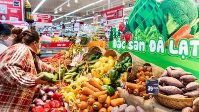 Сільськогосподарський сектор Лам Донга відкриває нові можливості для зростання.