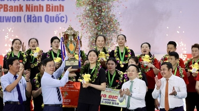 Giang Tô đăng quang thuyết phục tại Cúp VTV9 – Bình Điền 2026
