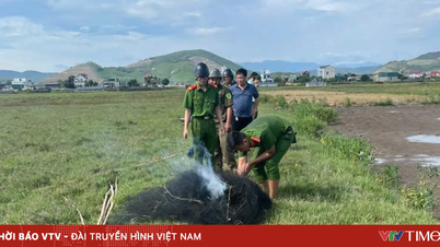Mencegah praktik ilegal memasang jaring untuk berburu burung liar.