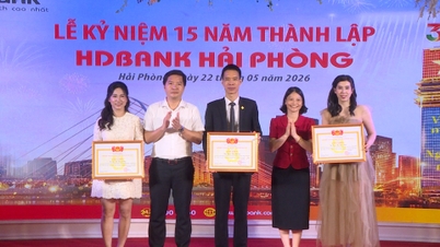 HDBank Hai Phong erzielte ein durchschnittliches Gewinnwachstum von 137%.