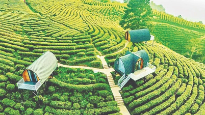 درخواست جدید کائو بنگ