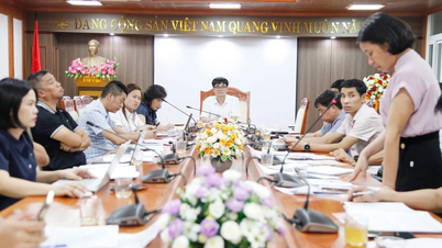 Bac Ninh bereidt een reeks grote evenementen voor op de Tien Phong Marathon van 2027.