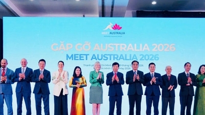 Încurajarea companiilor australiene să investească în transformarea verde, transformarea digitală și inovarea în Vietnam.