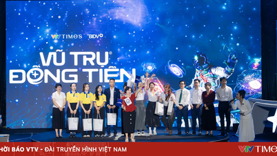 L'univers des cryptomonnaies en 2026 : trois représentants du centre du Vietnam qualifiés pour les quarts de finale.