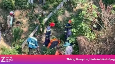 山道を自転車で走行中、学生2人が深さ50メートルの渓谷に転落した。