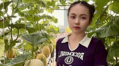 Mẹ trẻ xinh đẹp biến sân thượng thành vườn dưa trăm trái