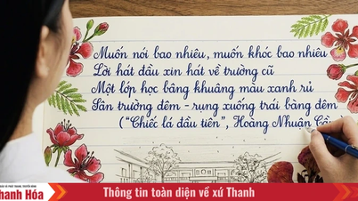 ខគម្ពីរទាំងនេះត្រូវបានបោះពុម្ពជាអក្សរដិតនៅលើទំព័រសៀវភៅប្រចាំឆ្នាំរបស់សិស្ស។