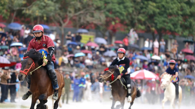 الجولة النهائية المثيرة من بطولة باك ها التاسعة عشرة لسباق الخيل التقليدي
