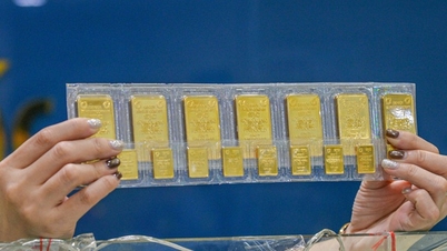 Gold prices today, May 24th: Gold buyers are losing 6-7 million VND in just two weeks.