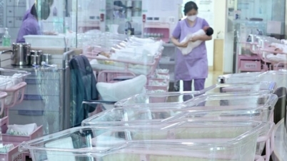 Khủng hoảng nhân khẩu học: Khi những chiếc nôi bị để trống