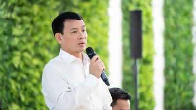 전력 부문 주요 인사들이 잇따라 기소되었으며, 최근 금리 인하에 대한 지침이 발표되었습니다.