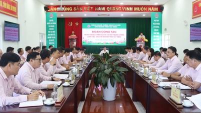 Direktur Jenderal Bank Vietnam untuk Kebijakan Sosial (VBSP) bekerja di cabang VBSP di provinsi Tay Ninh.