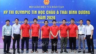 Mari berkenalan dengan peraih medali perak Olimpiade Informatika Asia-Pasifik.