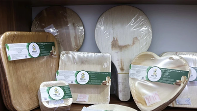 Produse ecologice fabricate din teci de palmier.