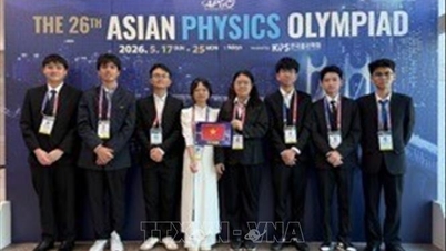 Vietnam är bland de 8 bästa vid den 26:e asiatiska fysikolympiaden.
