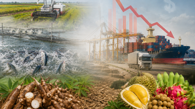 Productos agrícolas vietnamitas 2026 - Parte 2: De la preocupación por el suministro de materia prima al "vórtice" de los costos