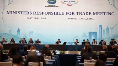 APEC este hotărâtă să securizeze lanțurile de aprovizionare cu energie în contextul crizei din Orientul Mijlociu.