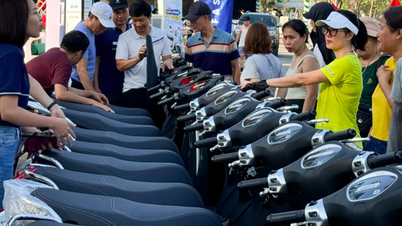 Los coches eléctricos son cada vez más populares, lo que lleva a muchas personas a decidir vender sus vehículos de gasolina.