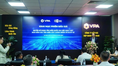Una serie de nombres de dominio .vn de dos caracteres siguen saliendo a subasta, con un precio inicial de 10 millones de VND.