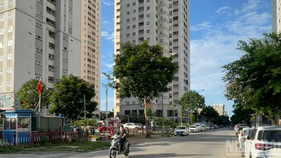 Se ha emitido una alerta por ola de calor para el norte, centro y sureste de Vietnam.
