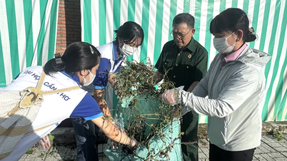 เยาวชนเมืองเกิ่นโถเข้าร่วมกิจกรรมรณรงค์ "วันอาทิตย์สีเขียว" ทั่วประเทศ
