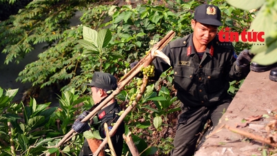 Jovens da cidade de Ho Chi Minh lançam campanha 'Domingo Verde'.