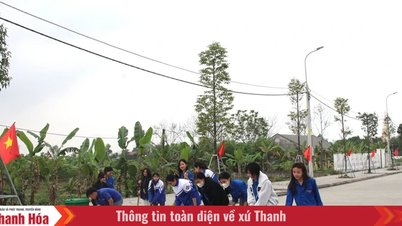 Xây dựng khu dân cư sáng - xanh - sạch - đẹp - an toàn ở xã Thọ Xuân