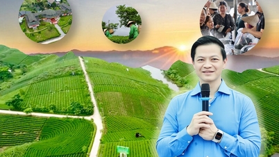 Tái cấu trúc du lịch từ lợi thế vùng chè Thái Nguyên