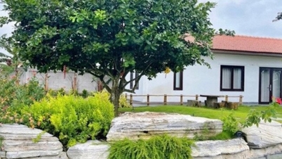 ट्रुओंग जियांग: रबर का रस इकट्ठा करने वाले एक लड़के से लेकर एक हजार वर्ग मीटर के विला के मालिक हास्य कलाकार बनने तक का सफर।