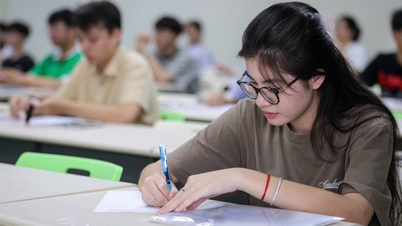 La Universidad Nacional de Vietnam en Ciudad Ho Chi Minh anuncia los resultados de la segunda ronda del examen de evaluación de competencias.