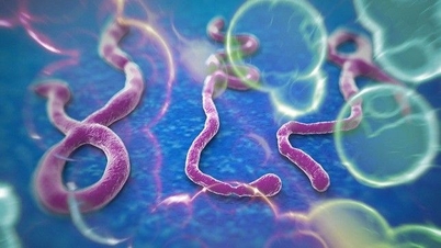 Iverksett tiltak for å forhindre ebola raskt.