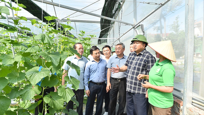 Le président du Comité populaire provincial, Phan Huy Ngoc, visite plusieurs modèles économiques performants dans la province.