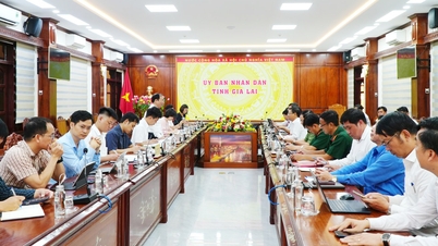 ທ່ານຮອງລັດຖະມົນຕີ ຫງວຽນວັນຊິງ ເຮັດວຽກກັບການນຳຂອງຄະນະກຳມະການປະຊາຊົນແຂວງ ຢາລາຍ.
