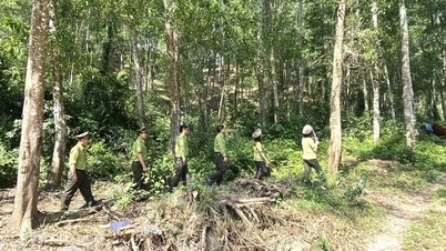ຢາລາຍປັບປຸງກົນໄກການຄຸ້ມຄອງປ່າໄມ້ປ້ອງກັນຂອງຕົນໃຫ້ມີປະສິດທິພາບຂຶ້ນ.
