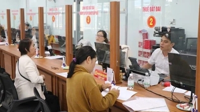 ຄາດວ່າຕຳແໜ່ງງານ 12 ຕຳແໜ່ງໃນຂະແໜງກະສິກຳ ແລະ ສິ່ງແວດລ້ອມຈະຕ້ອງມີການໝູນວຽນເປັນໄລຍະ.