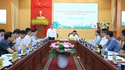 ທ່ານຮອງລັດຖະມົນຕີ ຮວ່າງຈຸງ 'ແກ້ໄຂຄວາມຫຍຸ້ງຍາກ' ໃຫ້ແກ່ກະສິກຳຢູ່ແຂວງລາວກາຍ.