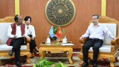 ຫວຽດນາມ ແລະ FAO ຂະຫຍາຍການຮ່ວມມື, ລະດົມການເງິນສີຂຽວ.