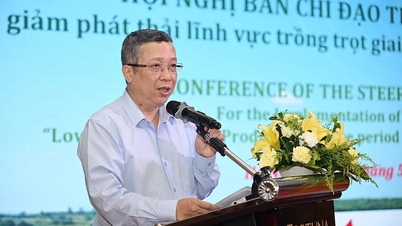 ຜະລິດຕະພັນກະສິກຳໄດ້ບັນລຸທ່າແຮງການເຕີບໂຕຂອງມັນແລ້ວ; ເພື່ອເພີ່ມມູນຄ່າຂອງມັນ, ຕ້ອງໄດ້ຫຼຸດຜ່ອນການປ່ອຍອາຍພິດ.